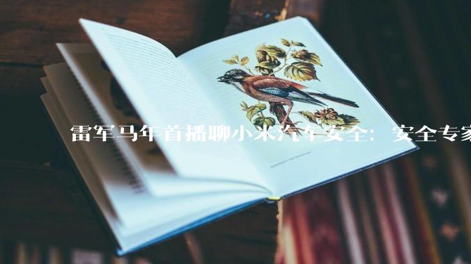 雷军马年首播聊小米汽车安全：安全专家回应火灾事故调查过程，希望成立汽车安全联盟_直播_车辆_体系