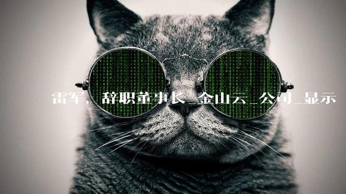 雷军，辞职董事长_金山云_公司_显示