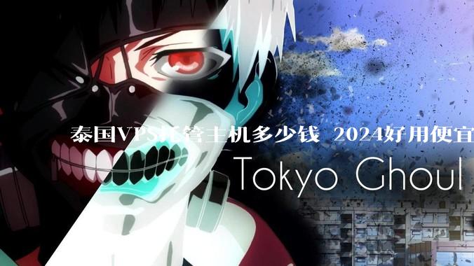 泰国VPS托管主机多少钱 2024好用便宜泰国VPS服务商推荐 - *