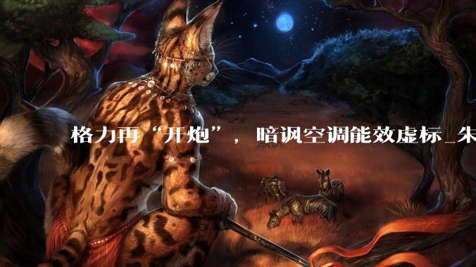 格力再“开炮”，暗讽空调能效虚标_朱磊_奥克斯_行业