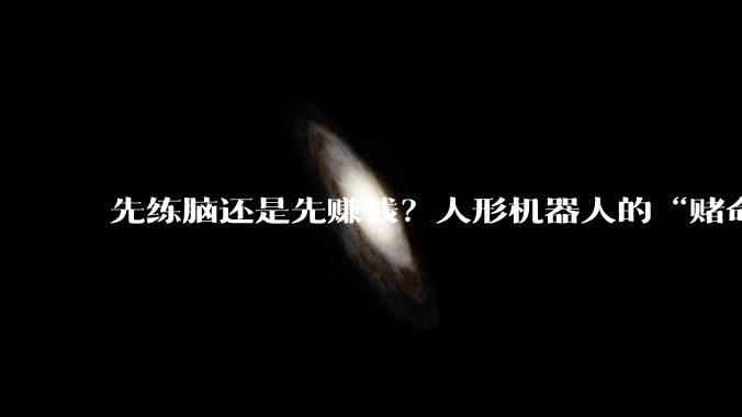先练脑还是先赚钱？人形机器人的“赌命”题_宇树_大脑_场景