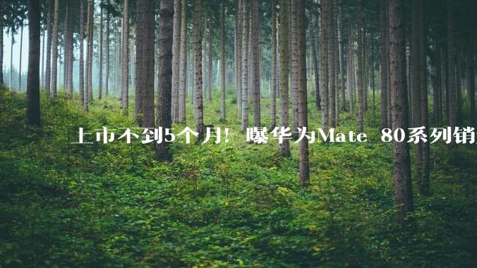 上市不到5个月！曝华为Mate 80系列销量惊人_手机_旗舰_大关
