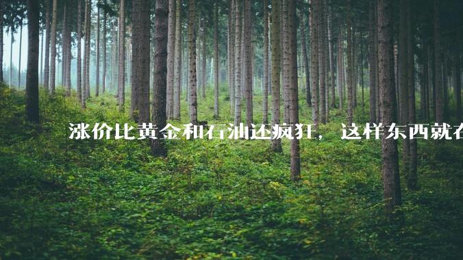 涨价比黄金和石油还疯狂，这样东西就在你的手里_芯片_内存_存储器