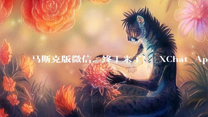 马斯克版微信，终于来了！_XChat_App_应用