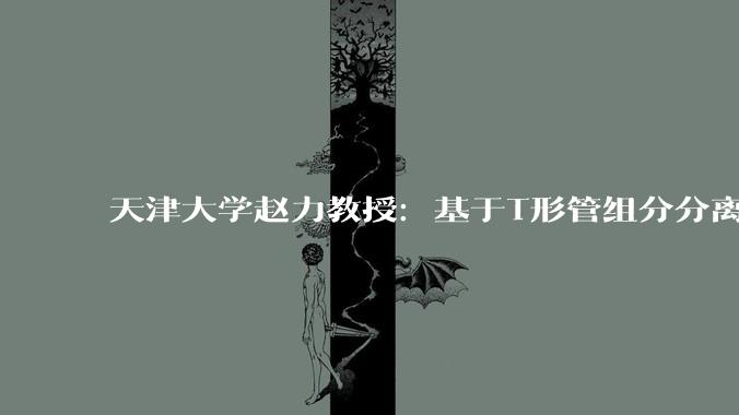 天津大学赵力教授：基于T形管组分分离的新型自复叠制冷循环_研究_管非_模型