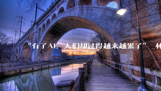 “有了AI，人们却过得越来越累了”_林姐_Token_公司