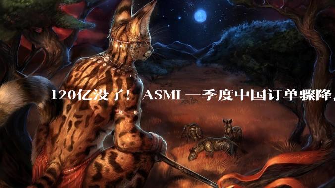 120亿没了！ASML一季度中国订单骤降，国产光刻机真要来了？_nm_ArFi_芯片