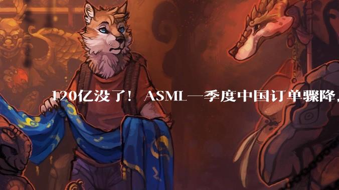 120亿没了！ASML一季度中国订单骤降，国产光刻机真要来了？_nm_ArFi_芯片