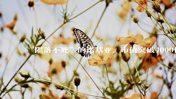 “陨落不死”的诺基亚，市值突破4000亿了_企业_光通信_市场