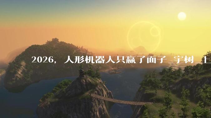 2026，人形机器人只赢了面子_宇树_上市***_行业