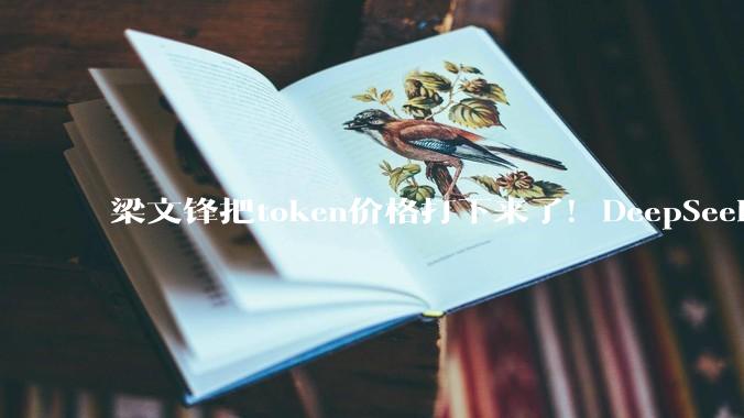梁文锋把token价格打下来了！DeepSeek V4暴降75%，百万token只要两毛五_企业_模型_人民币