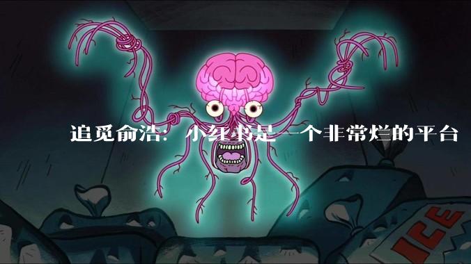 追觅俞浩：小红书是一个非常烂的平台 上面应该没有一家好公司_价值观_那总_消息