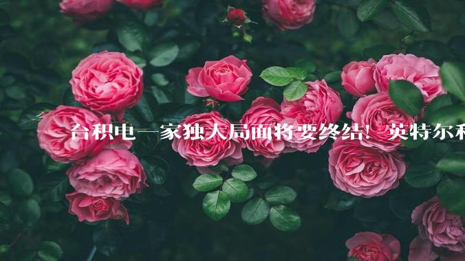 台积电一家独大局面将要终结！英特尔和三星打入果链_苹果_Mac_芯片