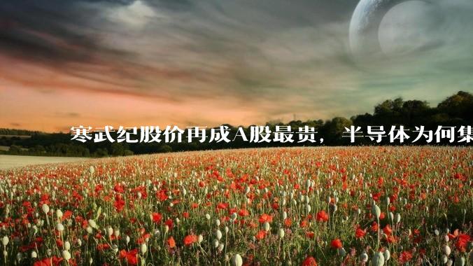 寒武纪股价再成A股最贵，半导体为何集体上涨？_公司_芯片_国产