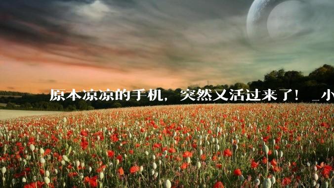 原本凉凉的手机，突然又活过来了！_小屏_Pro_机型