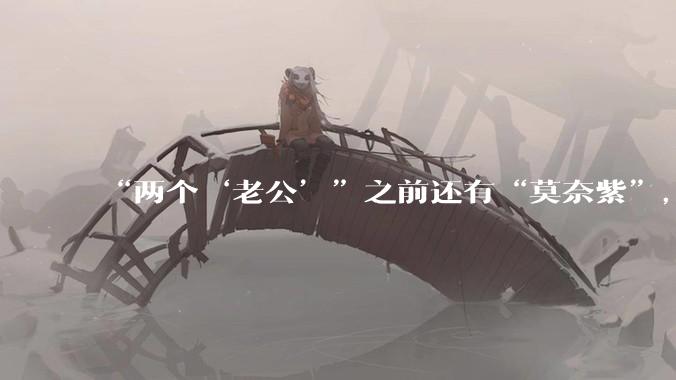 “两个‘老公’”之前还有“莫奈紫”，OPPO价值千亿的一次翻车_文案_品牌_手机