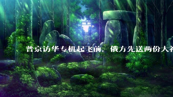 普京访华专机起飞前，俄方先送两份大礼：图们江出海口和远东开发_合作_中方_俄罗斯