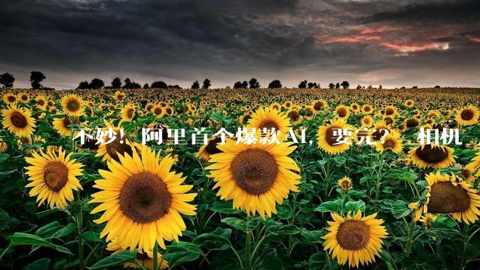 不妙！阿里首个爆款AI，要完？_相机_应用_写真