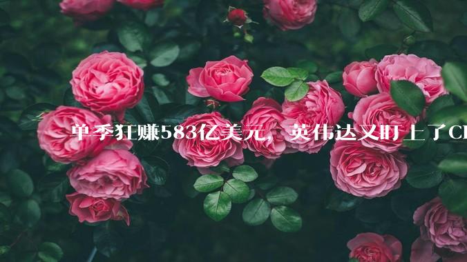 单季狂赚583亿美元，英伟达又盯上了CPU这块肥肉_Vera_Rubin_市场