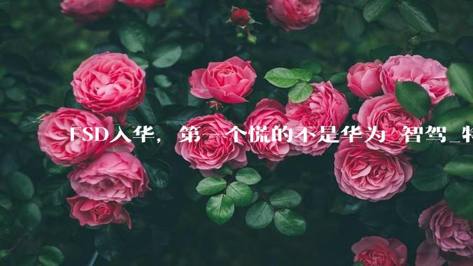 FSD入华，第一个慌的不是华为_智驾_特斯拉_中国