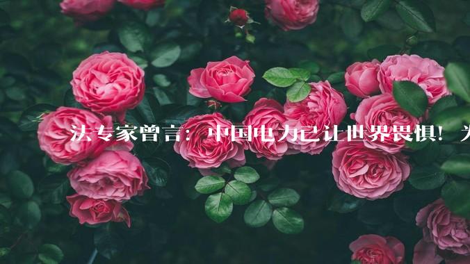 法专家曾言：中国电力已让世界畏惧！为何中国人自己却浑然不知？_能源_美国_全球