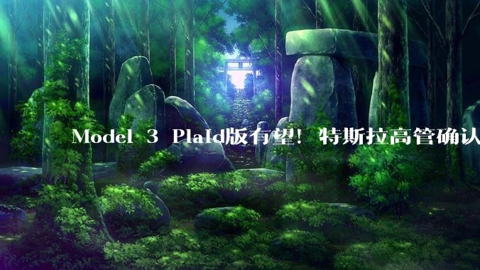 Model 3 Plaid版有望！特斯拉高管确认：正研究三电机版_莫拉维_技术_工程