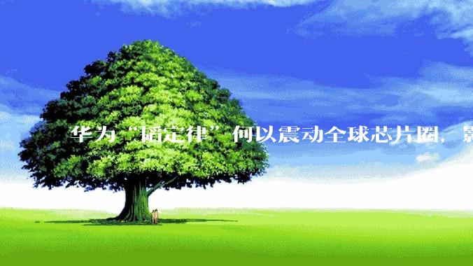 华为“韬定律”何以震动全球芯片圈，影响你我？_王立新_田丰_信号