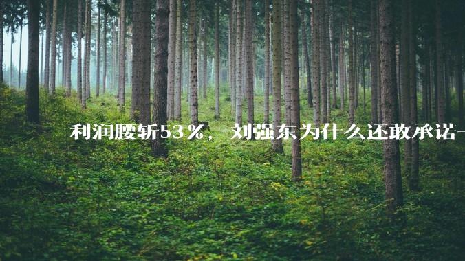 利润腰斩53%，刘强东为什么还敢承诺一个都不开除_机器人_人力_员工