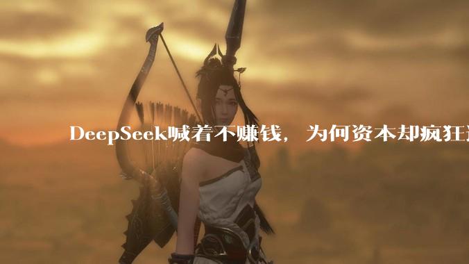 DeepSeek喊着不赚钱，为何资本却疯狂追捧？_梁文锋_资金_模型