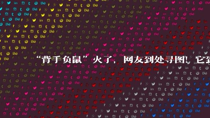 “背手负鼠”火了，网友到处寻图！它到底什么来头？_北美_动物_老鼠