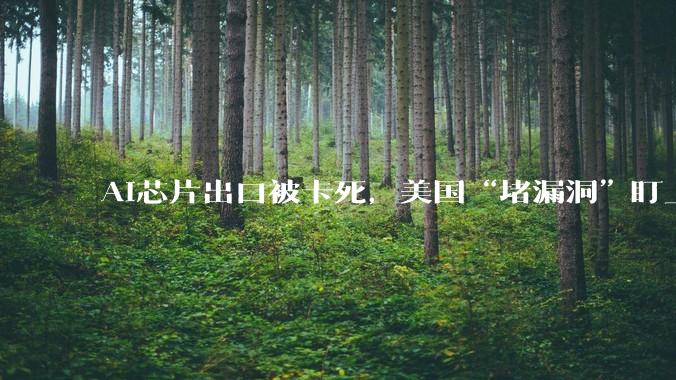AI芯片出口被卡死，美国“堵漏洞”盯上中企海外子公司_指引_管制_中国