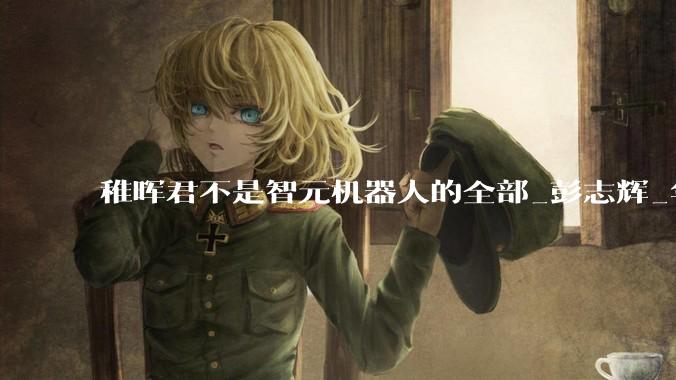 稚晖君不是智元机器人的全部_彭志辉_华为_邓泰华