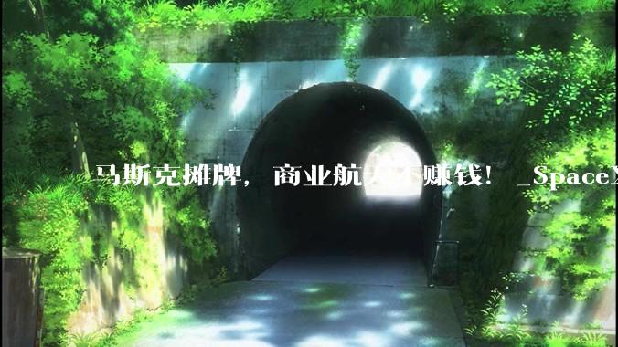 马斯克摊牌，商业航天不赚钱！_SpaceX_租赁_招股书