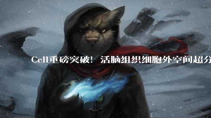Cell重磅突破！活脑组织细胞外空间超分辨成像SUSHI技术_Figure_标记_神经元