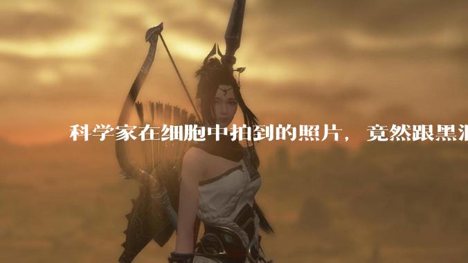 科学家在细胞中拍到的照片，竟然跟黑洞极为相似_核仁_加工_结构