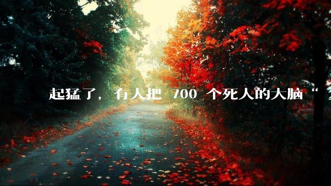 起猛了，有人把 700 个死人的大脑“ 复活 ”了。。。_实验_Bexorg_灌注