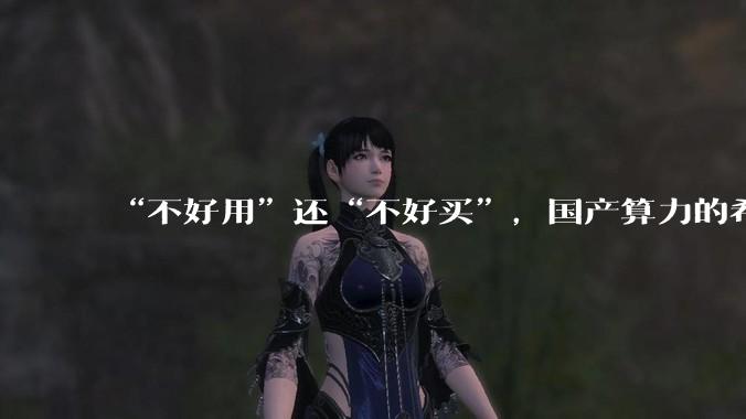 “不好用”还“不好买”，国产算力的希望在下一代？_华为_毛运航_生态