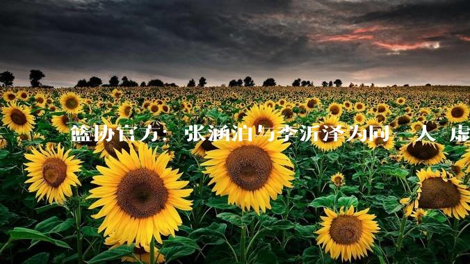 篮协官方：张涵泊与李沂泽为同一人 虚报年龄被禁赛三年_中国篮球协会_处罚_相关