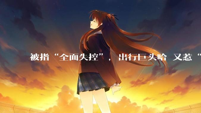 被指“全面失控”，出行巨头哈啰又惹“麻烦”？_公司_文章_上市***