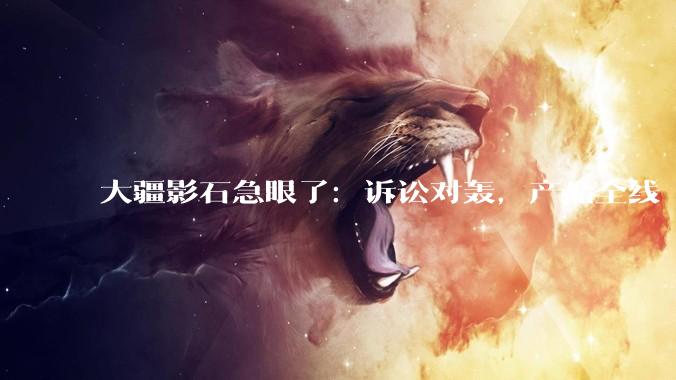 大疆影石急眼了：诉讼对轰，产品全线“交火”_创新_相机_专利