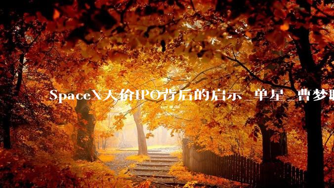 SpaceX天价IPO背后的启示_单星_曹梦聊_通信