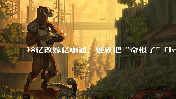 18亿改嫁亿咖通，魅族把“命根子”Flyme卖了_手机_公司_操作系统