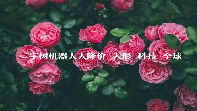 宇树机器人大降价_人形_科技_全球