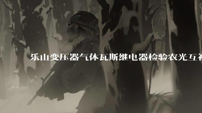 乐山变压器气体瓦斯继电器检验农光互补项目可用_检测_设备