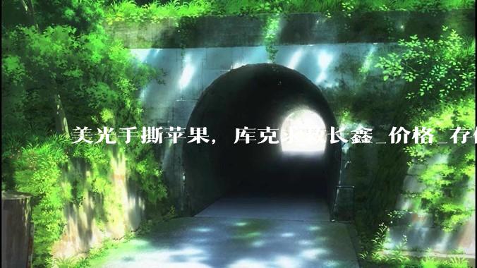 美光手撕苹果，库克求救长鑫_价格_存储_内存