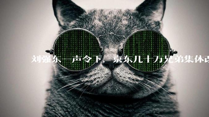 刘强东一声令下，京东几十万兄弟集体改行_机器人_维修中心_欧洲