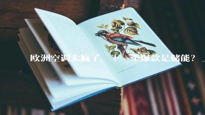 欧洲空调卖疯了，下一个爆款是储能？_系统_能源_Aqua-C