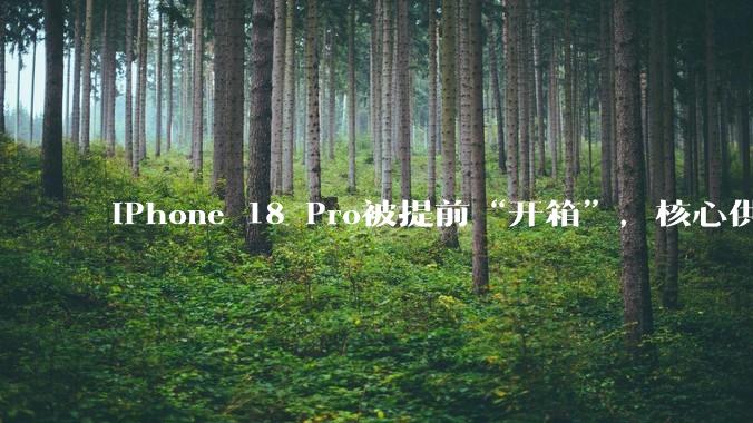 iPhone 18 Pro被提前“开箱”，核心供应链也被“扒光”？_塔塔_苹果_电子