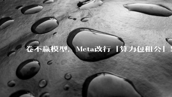 卷不赢模型，Meta改行「算力包租公」！一夜炸崩美股AI链_亿美元_SpaceX_Llama
