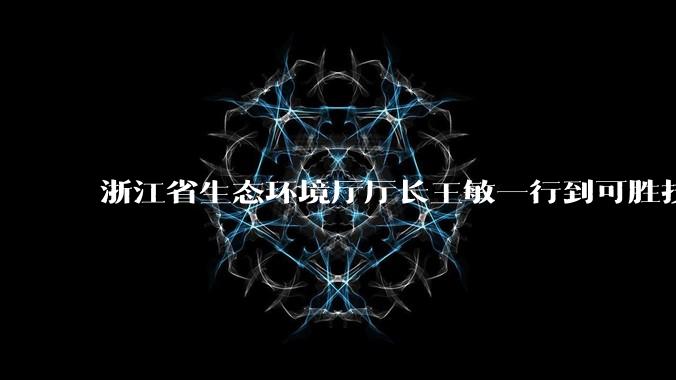 浙江省生态环境厅厅长王敏一行到可胜技术调研_相关_金建_储能